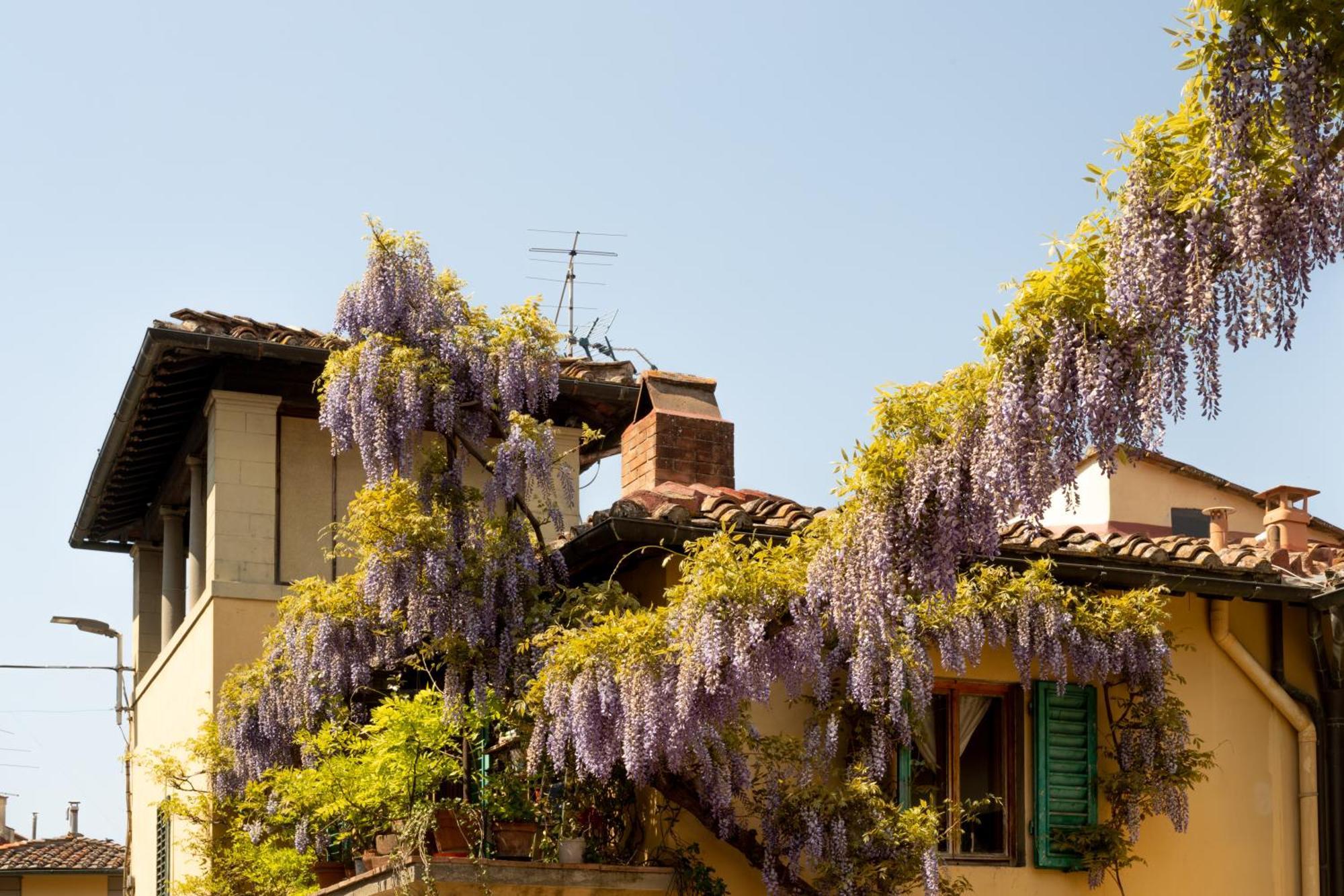 B&B Le Cannelle Fiesole Exteriér fotografie